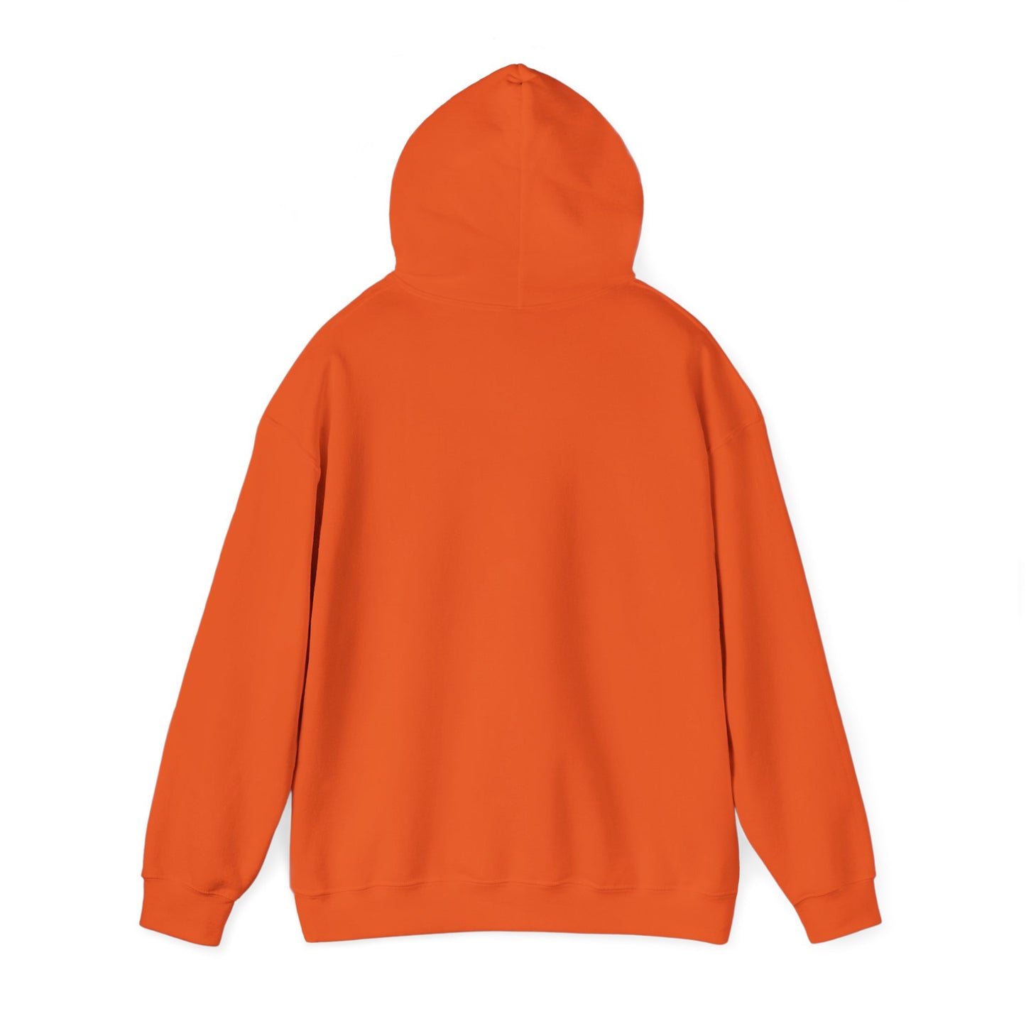 Empowerment Message Hoodie, Cozy Unisex Sweatshirt for Self-Expression, Future, Promise, Gift for Him/Her, Casual Wear
