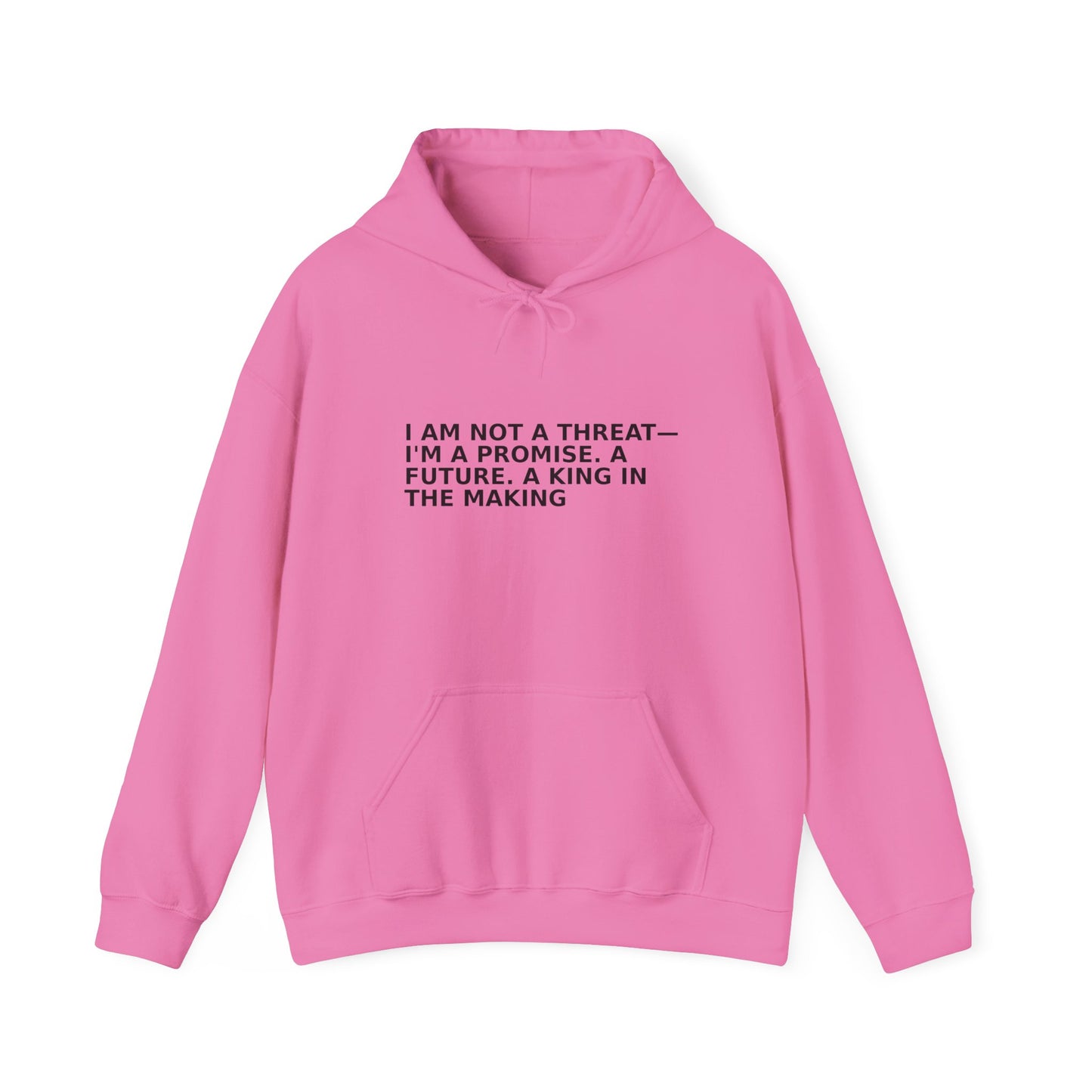 Empowerment Message Hoodie, Cozy Unisex Sweatshirt for Self-Expression, Future, Promise, Gift for Him/Her, Casual Wear
