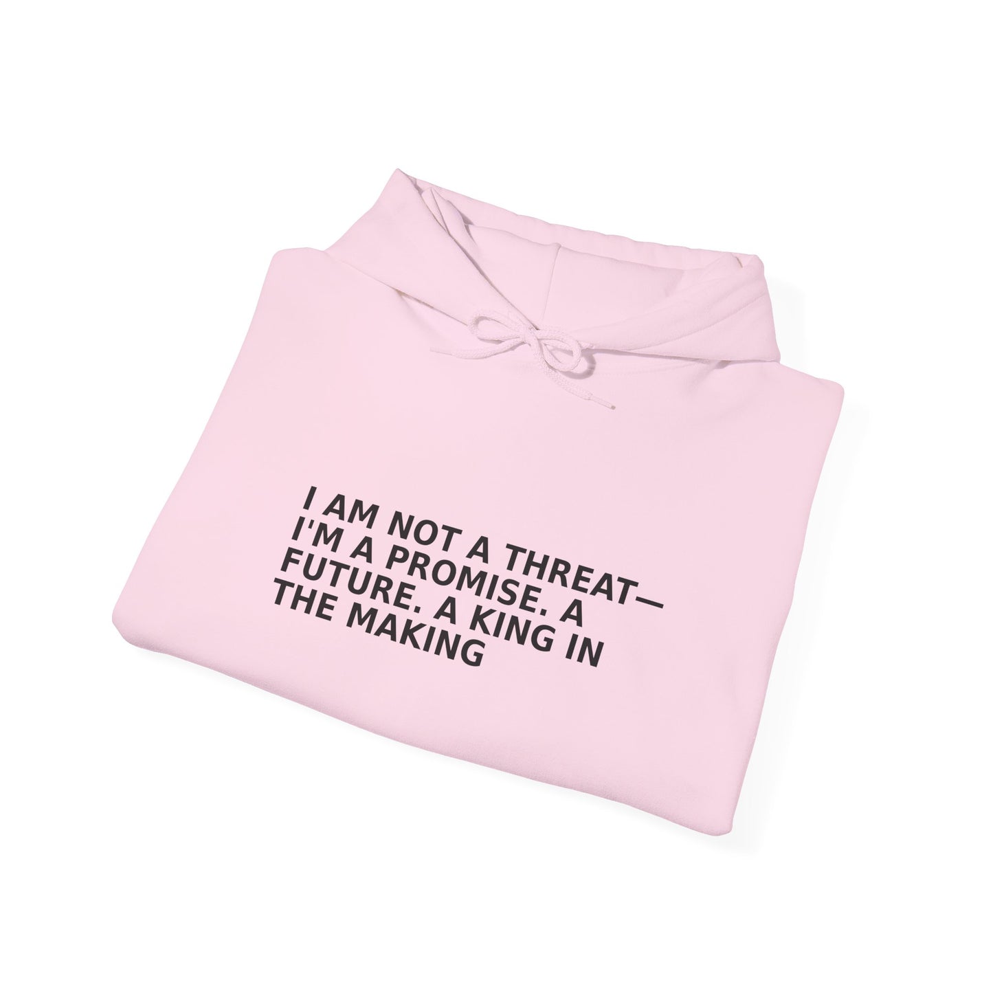 Empowerment Message Hoodie, Cozy Unisex Sweatshirt for Self-Expression, Future, Promise, Gift for Him/Her, Casual Wear