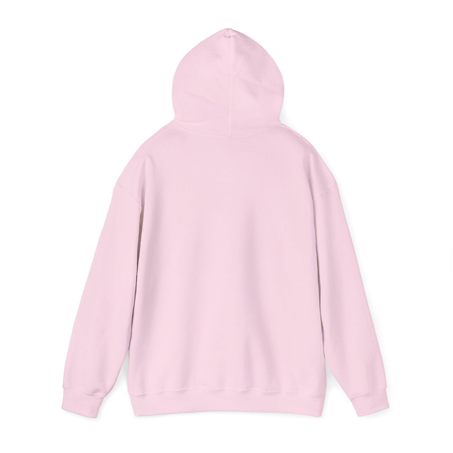 Empowerment Message Hoodie, Cozy Unisex Sweatshirt for Self-Expression, Future, Promise, Gift for Him/Her, Casual Wear