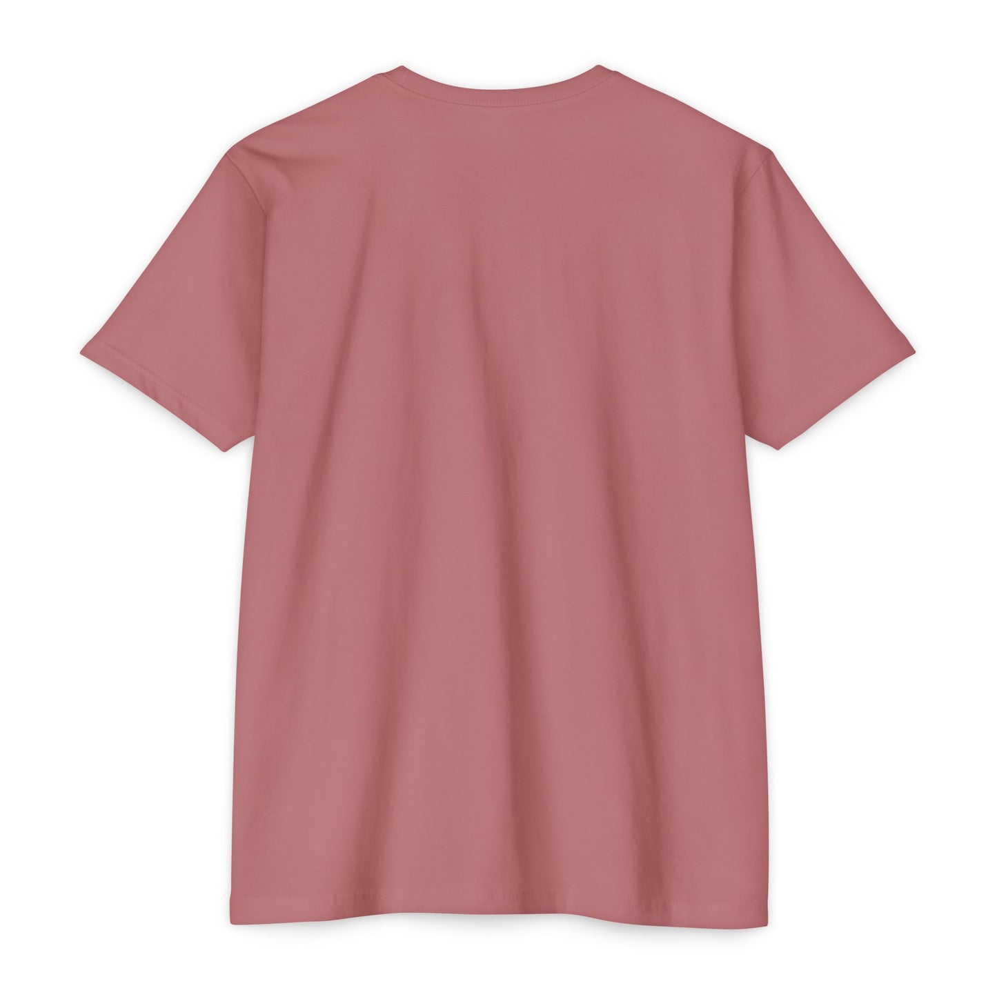 Empowerment T-Shirt, Inspirational Tee, Motivational Shirt, Unisex Statement Top, Everyday Confidence Wear