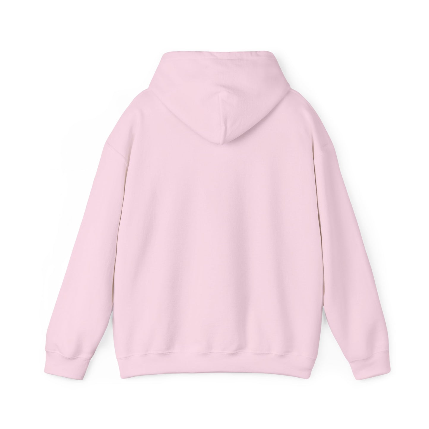 Empowerment Message Hoodie, Cozy Unisex Sweatshirt for Self-Expression, Future, Promise, Gift for Him/Her, Casual Wear