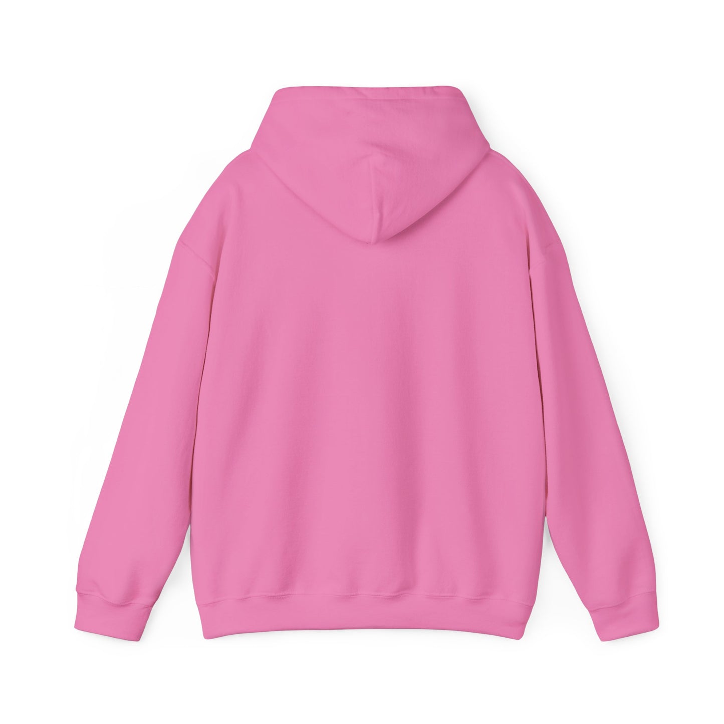 Empowerment Message Hoodie, Cozy Unisex Sweatshirt for Self-Expression, Future, Promise, Gift for Him/Her, Casual Wear