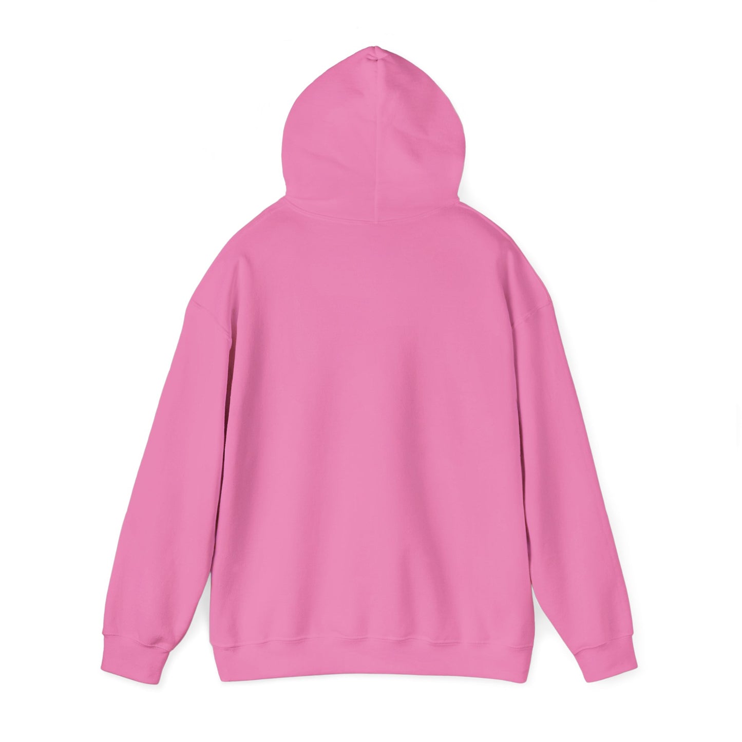 Empowerment Message Hoodie, Cozy Unisex Sweatshirt for Self-Expression, Future, Promise, Gift for Him/Her, Casual Wear