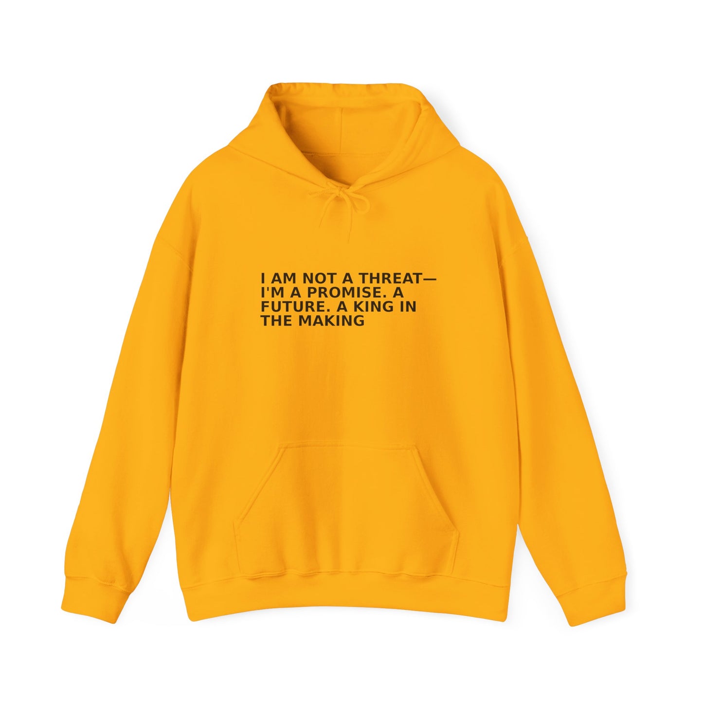 Empowerment Message Hoodie, Cozy Unisex Sweatshirt for Self-Expression, Future, Promise, Gift for Him/Her, Casual Wear