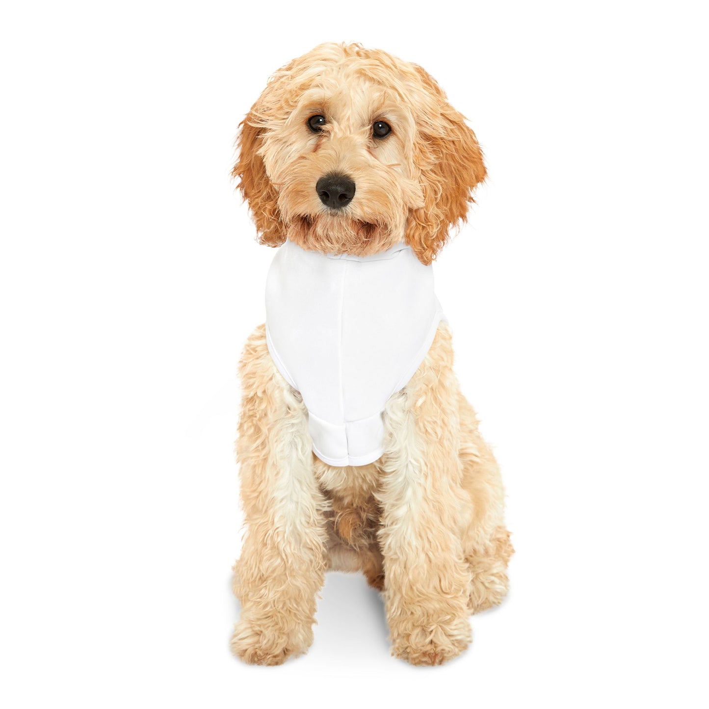 Creative Pet Hoodie for Artistic Pups | Dog Apparel | Cute Hoodie | Gift for Dog Lovers | Fun Pet Wear | Create Design | Cozy Canine [...]