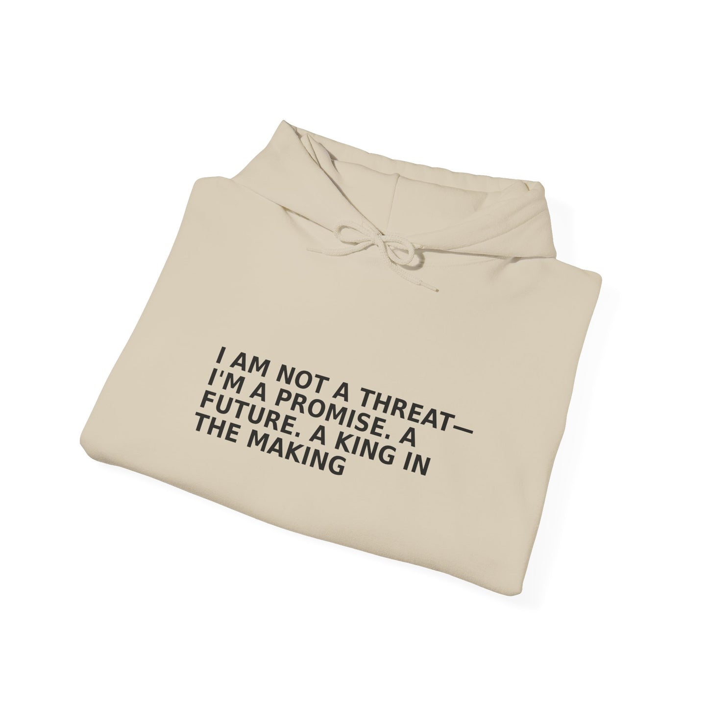 Empowerment Message Hoodie, Cozy Unisex Sweatshirt for Self-Expression, Future, Promise, Gift for Him/Her, Casual Wear